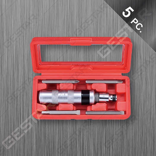 5 Pc. Cr-V  Impact Driver Set with Bits
