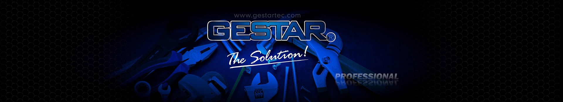 GESTAR PROFESSIONAL TOOL
